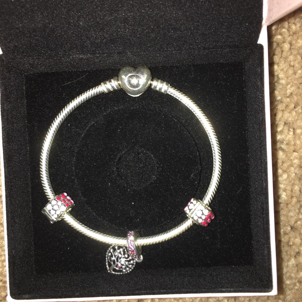 Valentine’s Day pandora charm bracelet